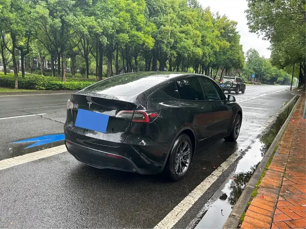 Tesla Model Y — фото 6
