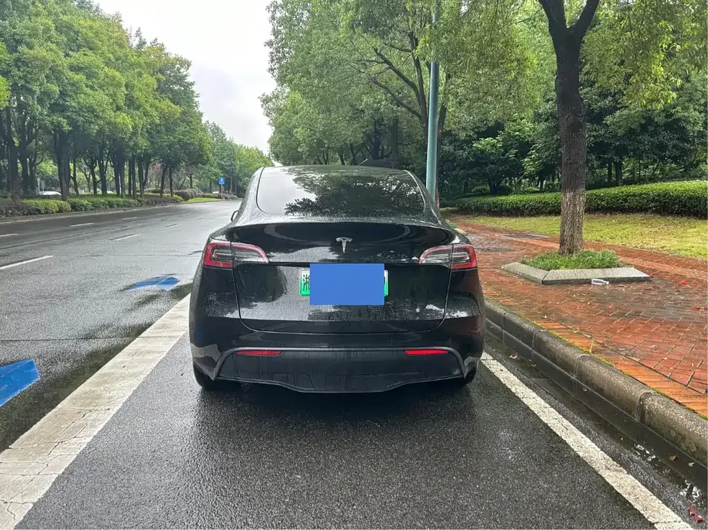 Tesla Model Y — фото 9