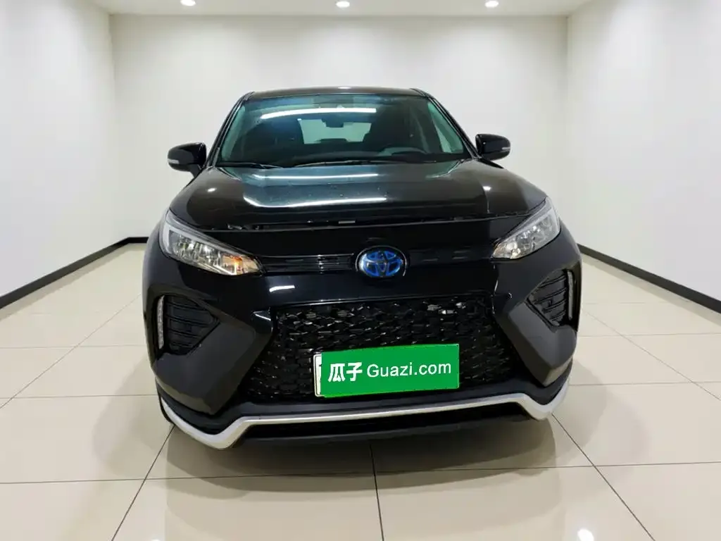 Toyota Wildlander New Energy — фото 10