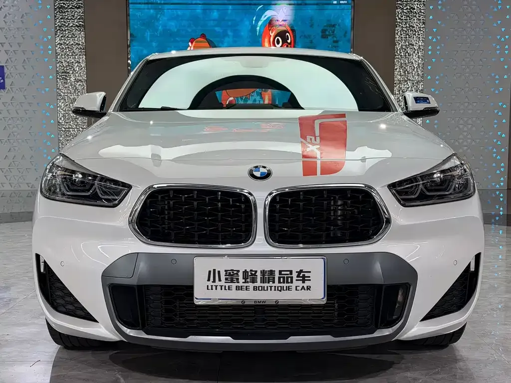 BMW X2 — фото 10