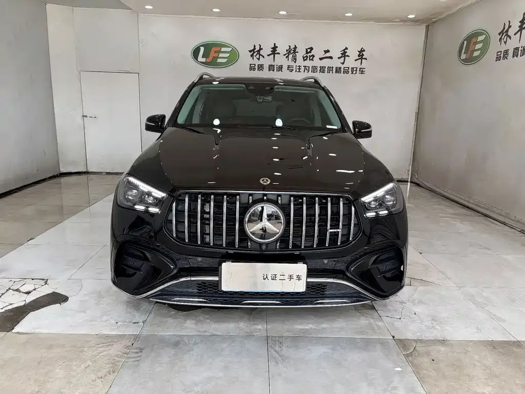 Mercedes-Benz 奔驰GLE(进口) — фото 4