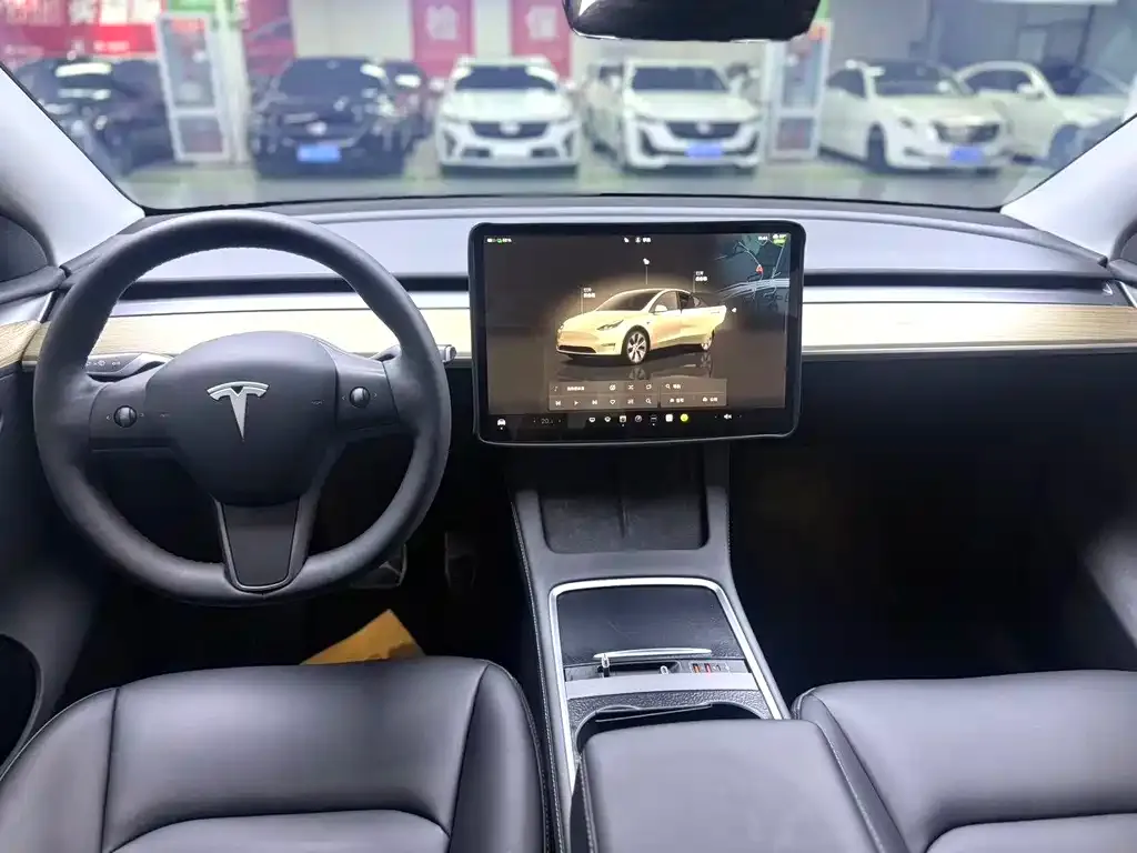 Tesla Model Y — фото 10
