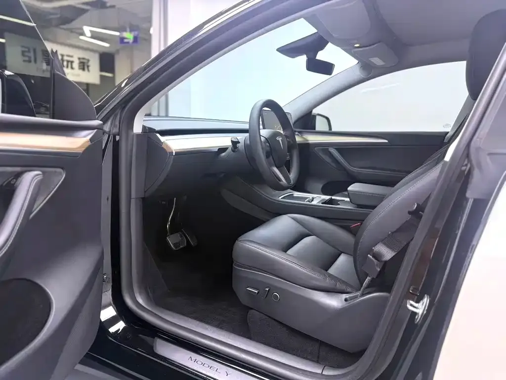 Tesla Model Y — фото 6