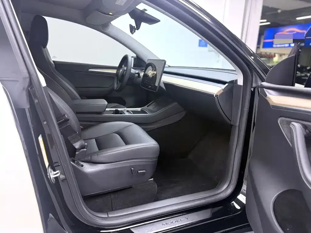 Tesla Model Y — фото 8
