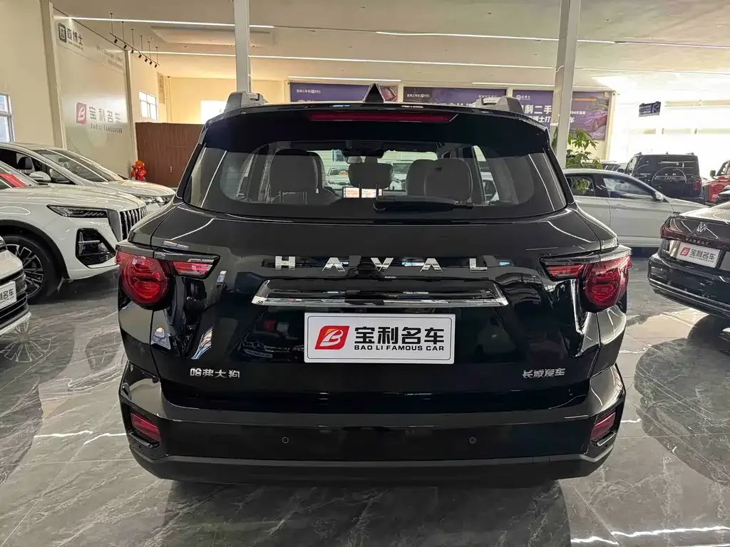 Haval H7 (Big Dog Plus) — фото 4