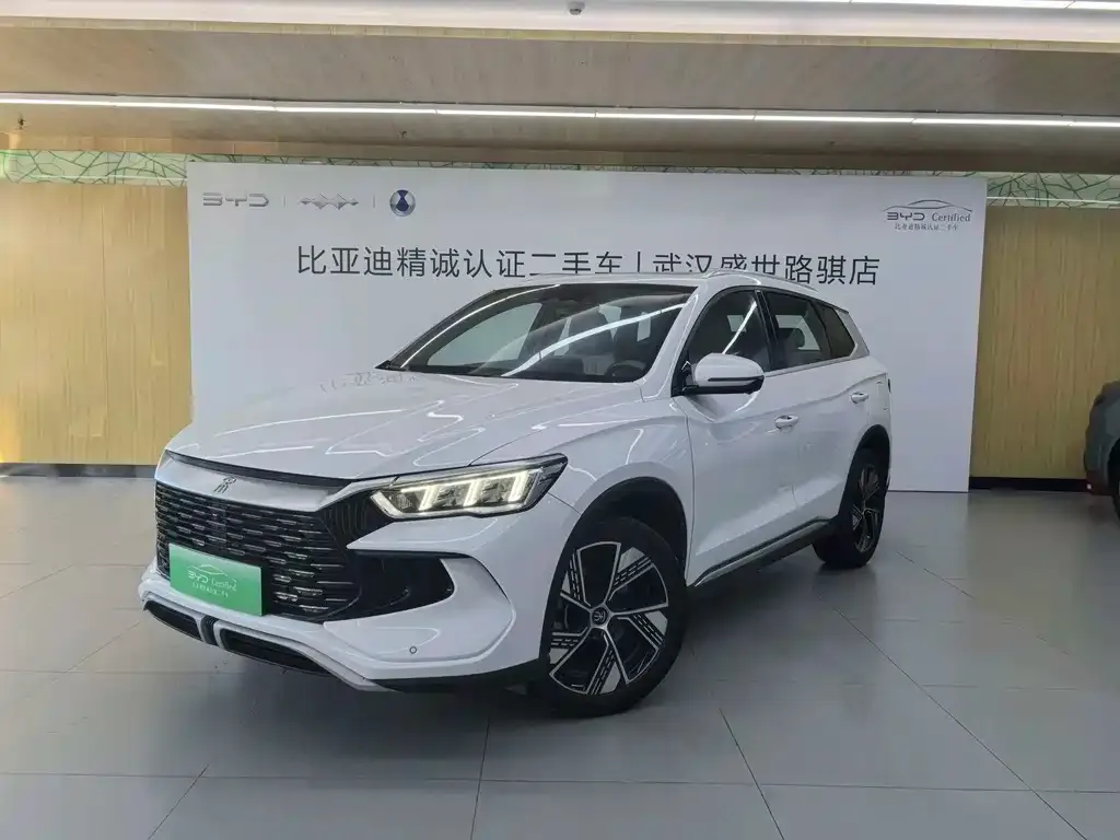 BYD Pro New Energy — фото 1
