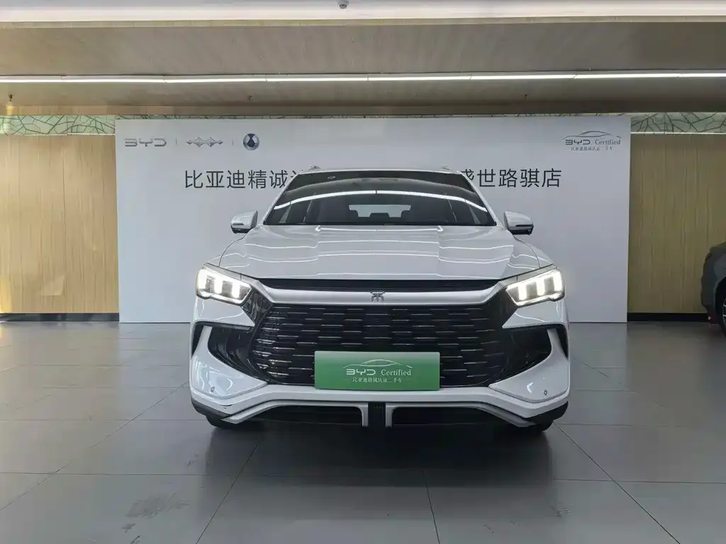 BYD Pro New Energy — фото 2