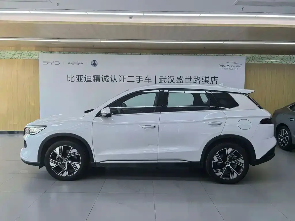 BYD Pro New Energy — фото 4