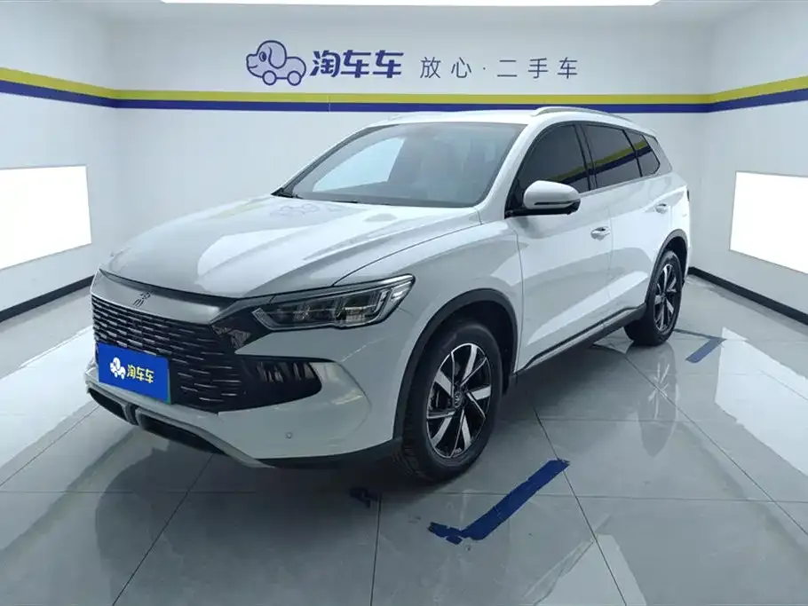 BYD Pro New Energy — фото 1