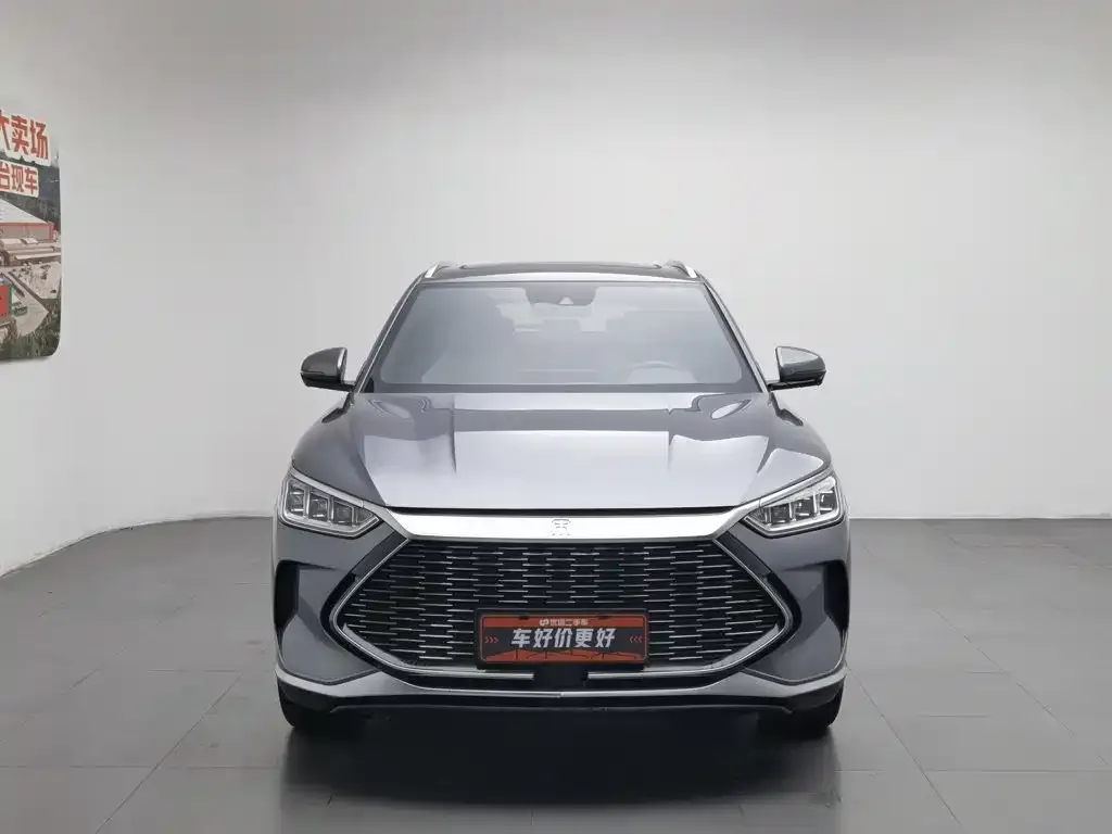 BYD PLUS New Energy — фото 2