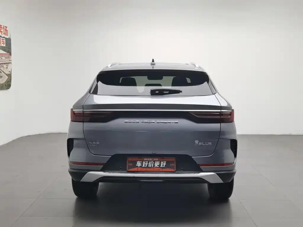 BYD PLUS New Energy — фото 4