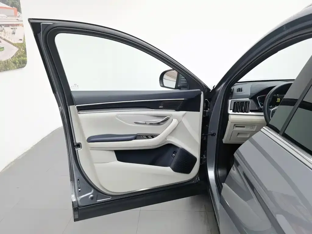 BYD PLUS New Energy — фото 10