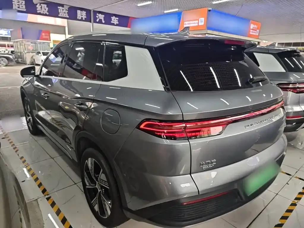 BYD Pro New Energy — фото 10