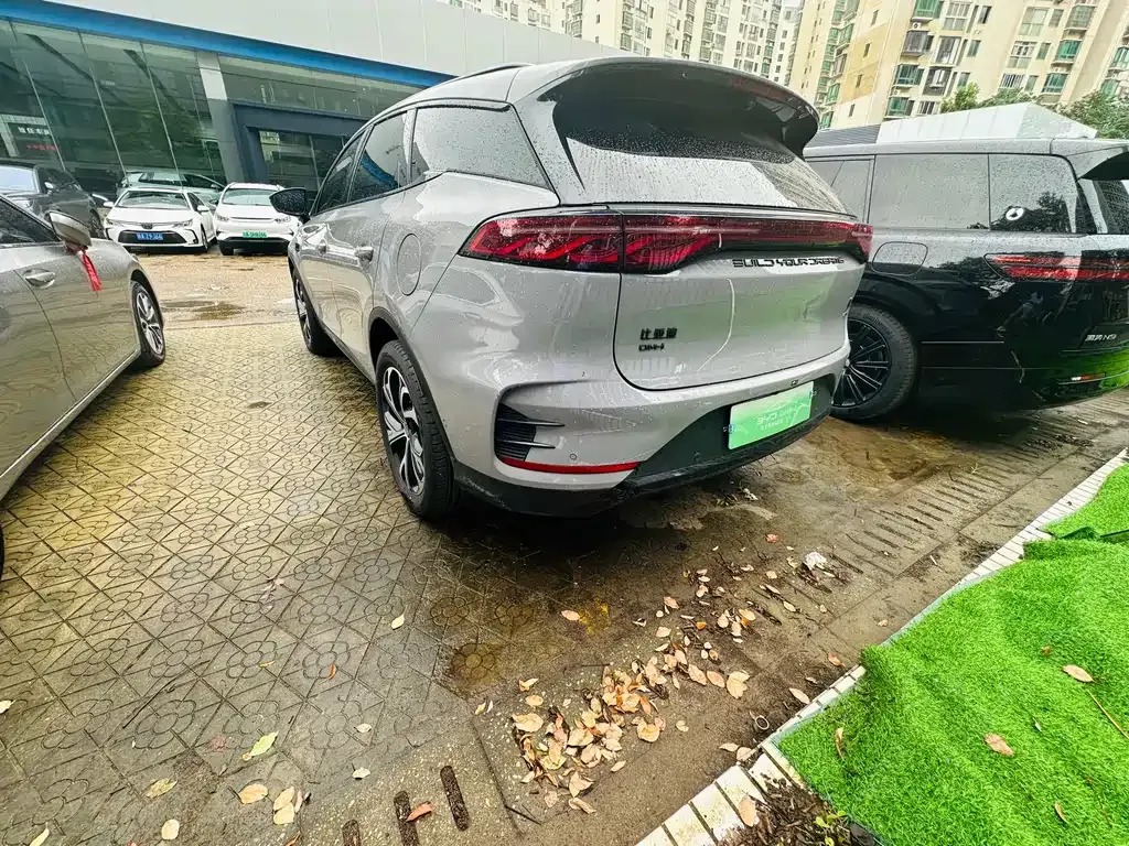 BYD Tang New Energy — фото 9
