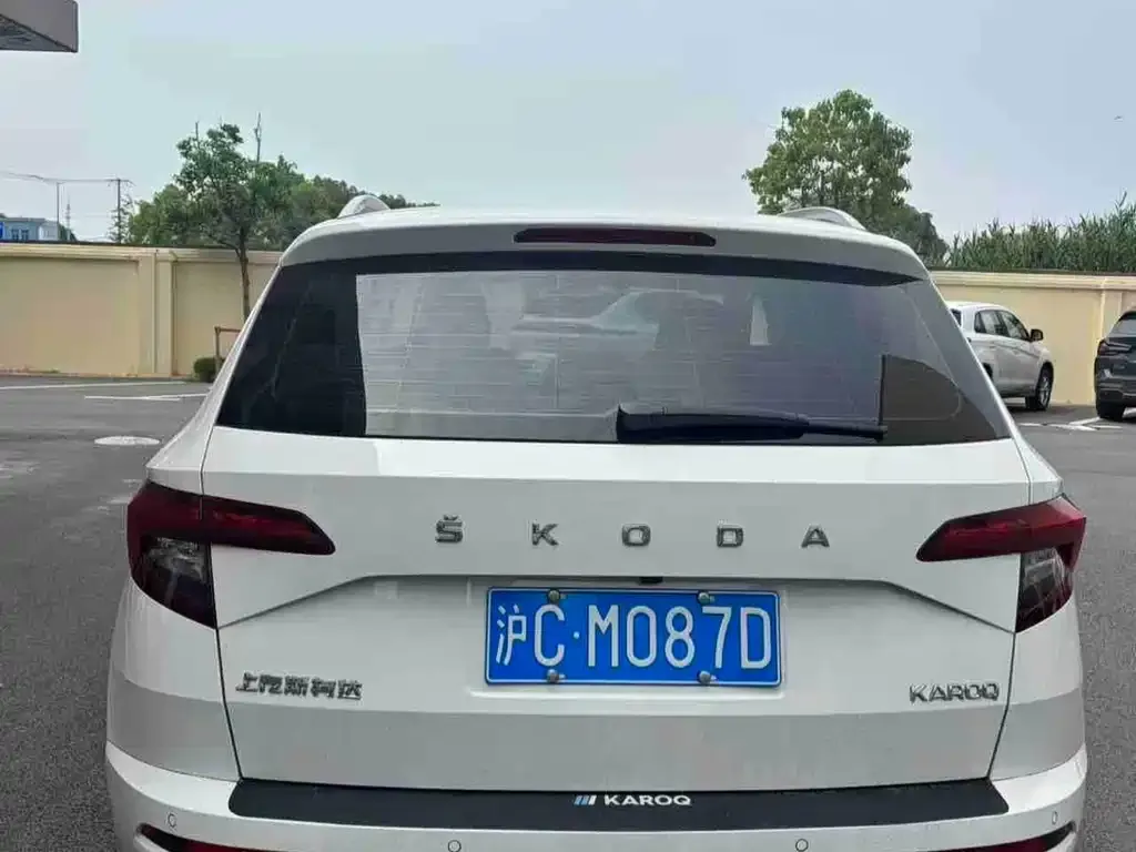 Skoda Karoq — фото 6