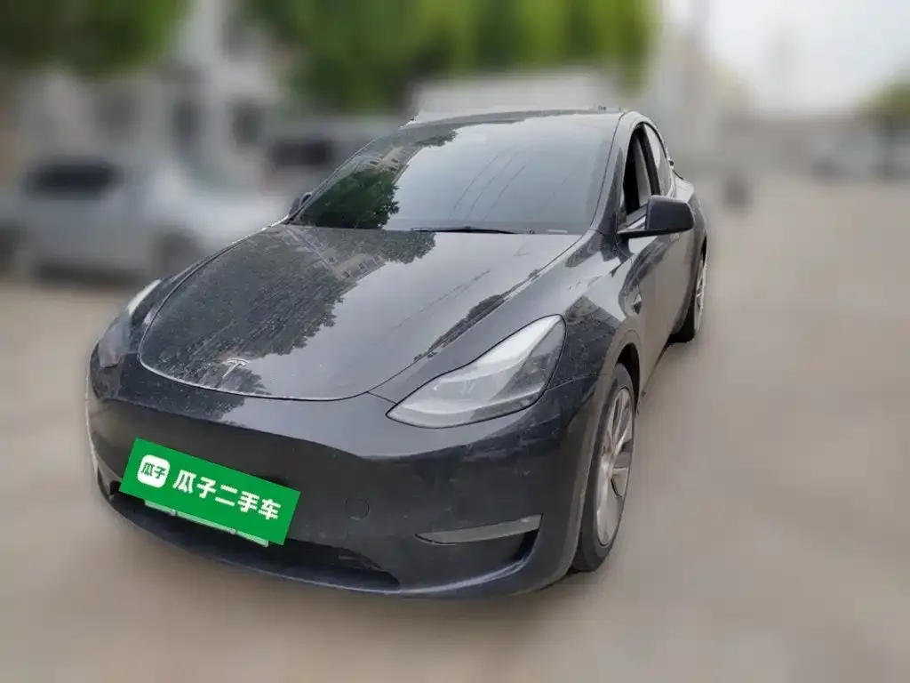 Tesla Model Y — фото 2