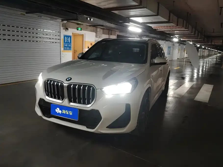 BMW X1 — фото 1
