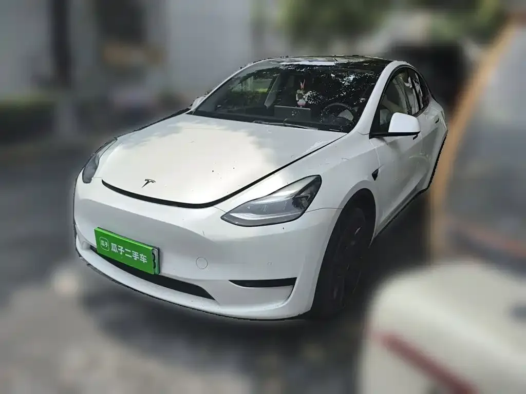 Tesla Model Y — фото 1