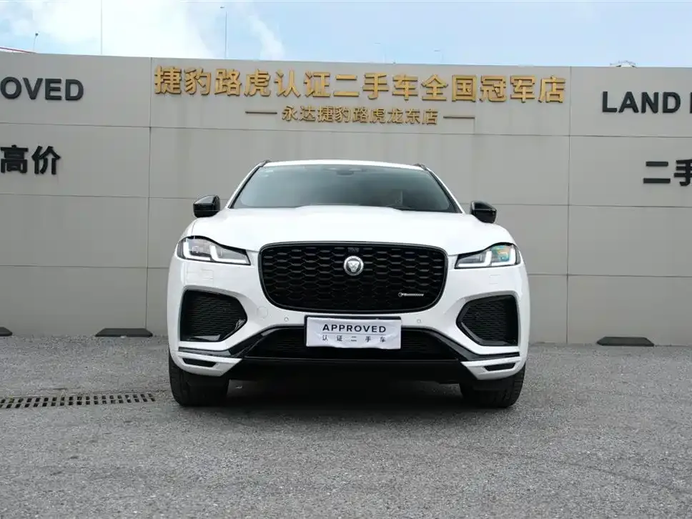 Jaguar F-PACE — фото 9