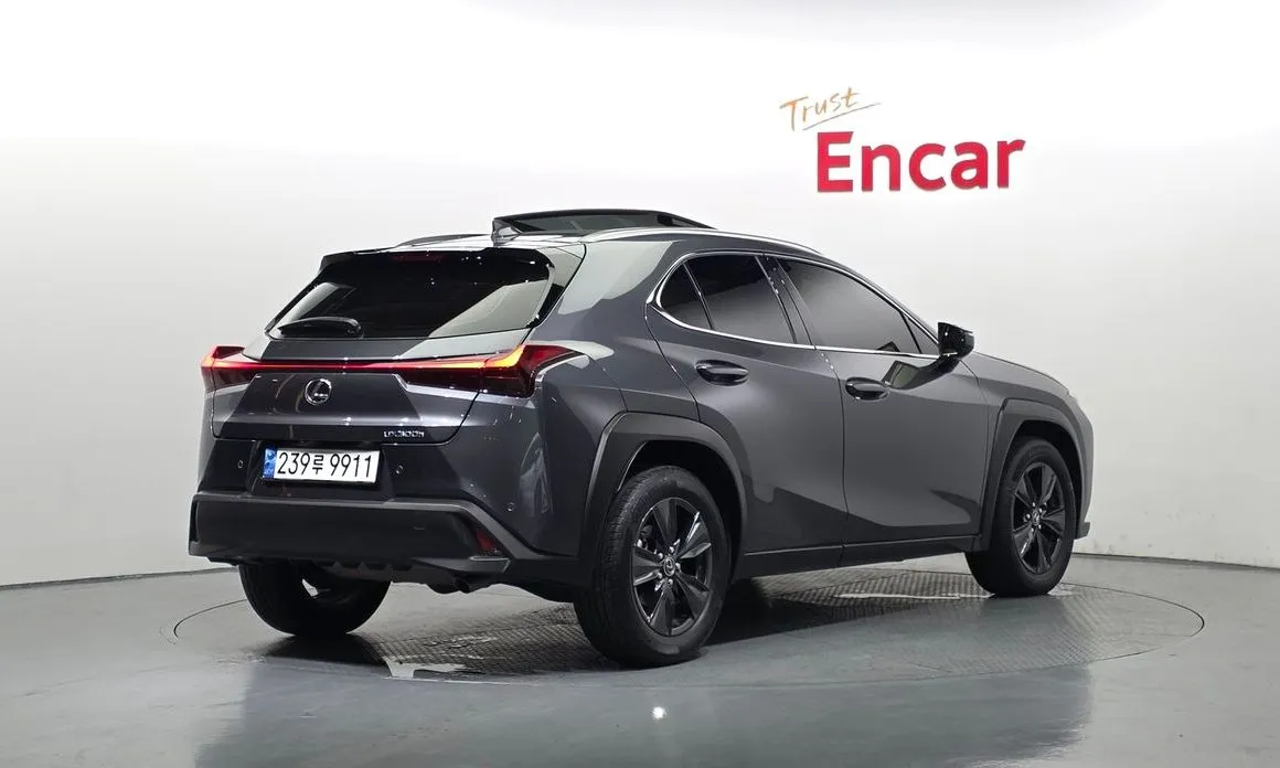 Lexus UX 2025 из KR, фото 7