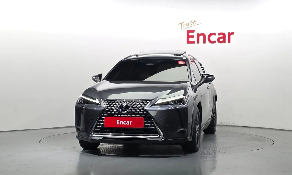 Lexus UX 2025 из KR, фото 2