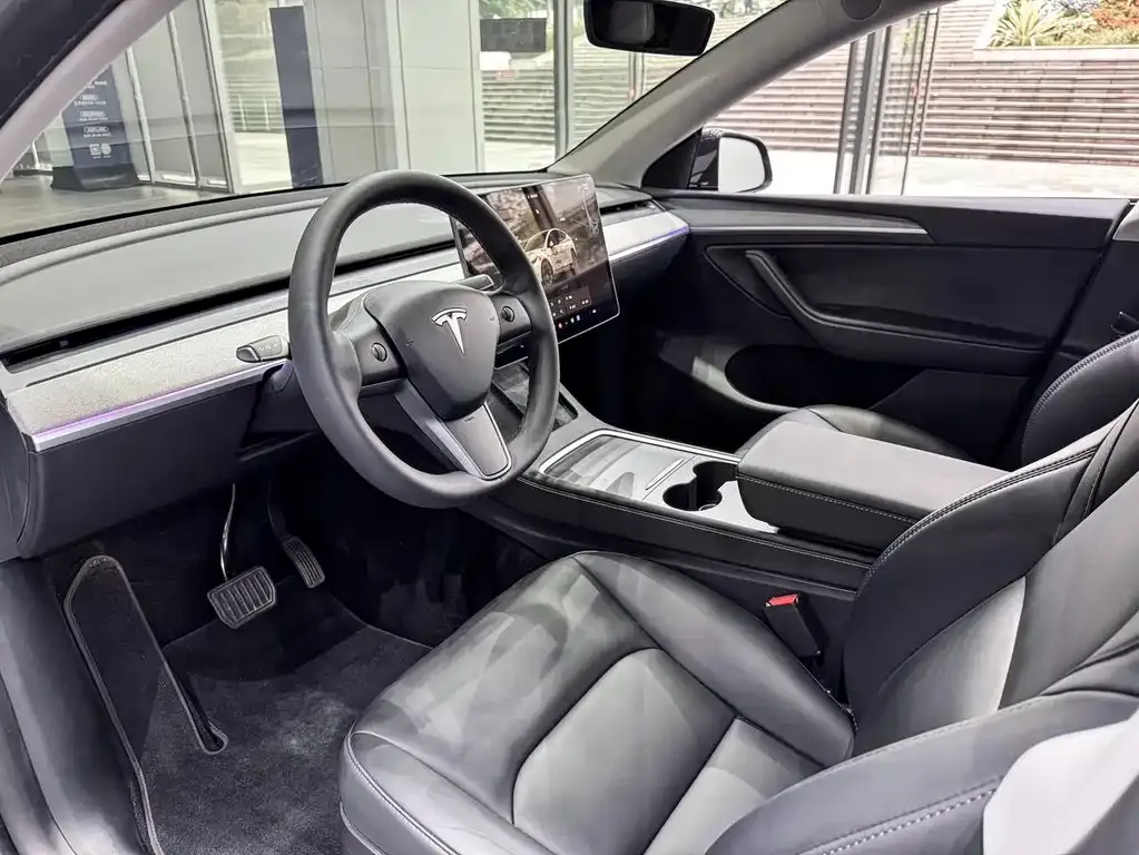 Tesla Model Y — фото 9