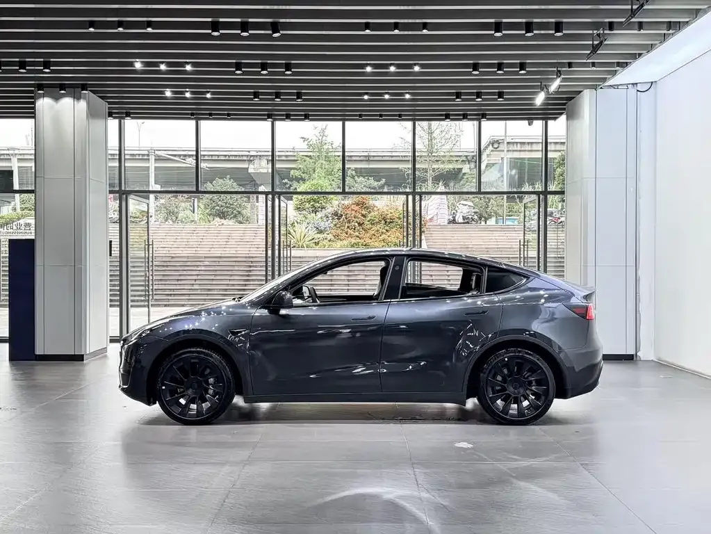 Tesla Model Y — фото 10