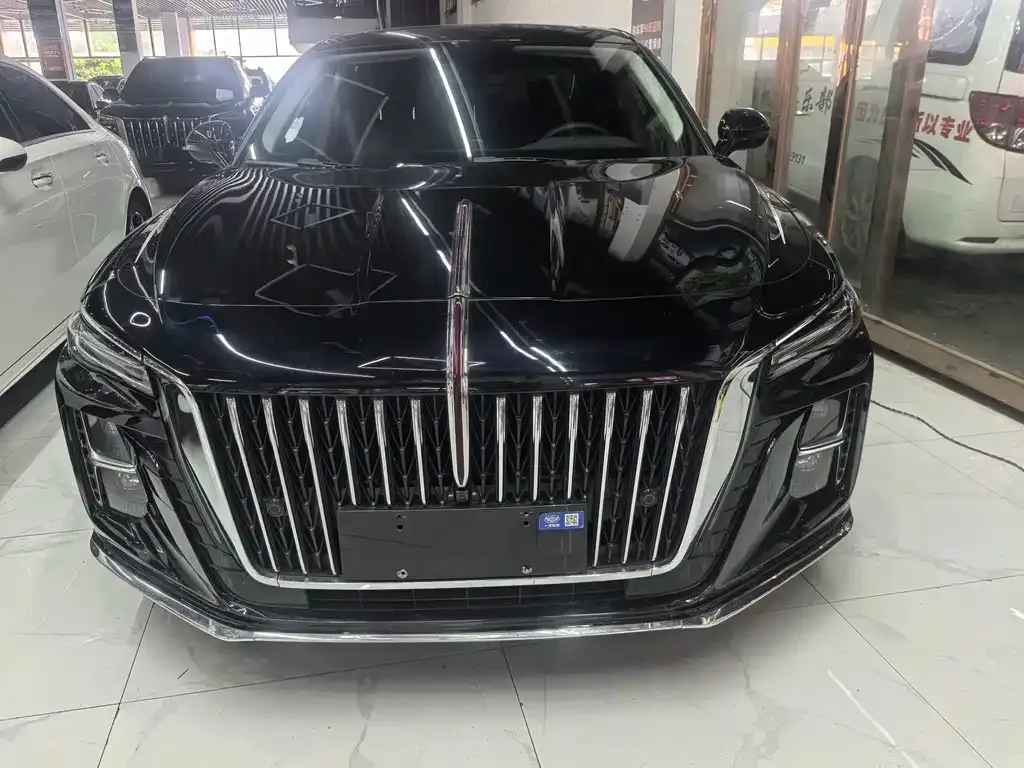 Hongqi H5 2024 из CN, фото 10