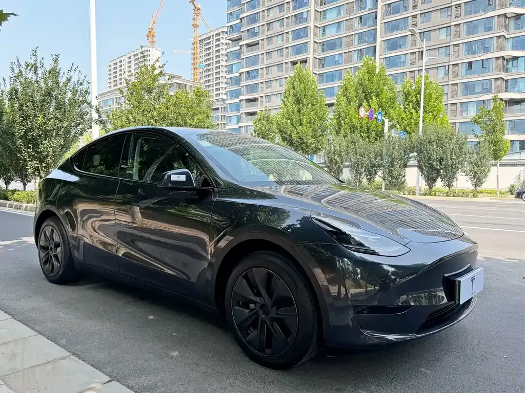 Tesla Model Y — фото 3