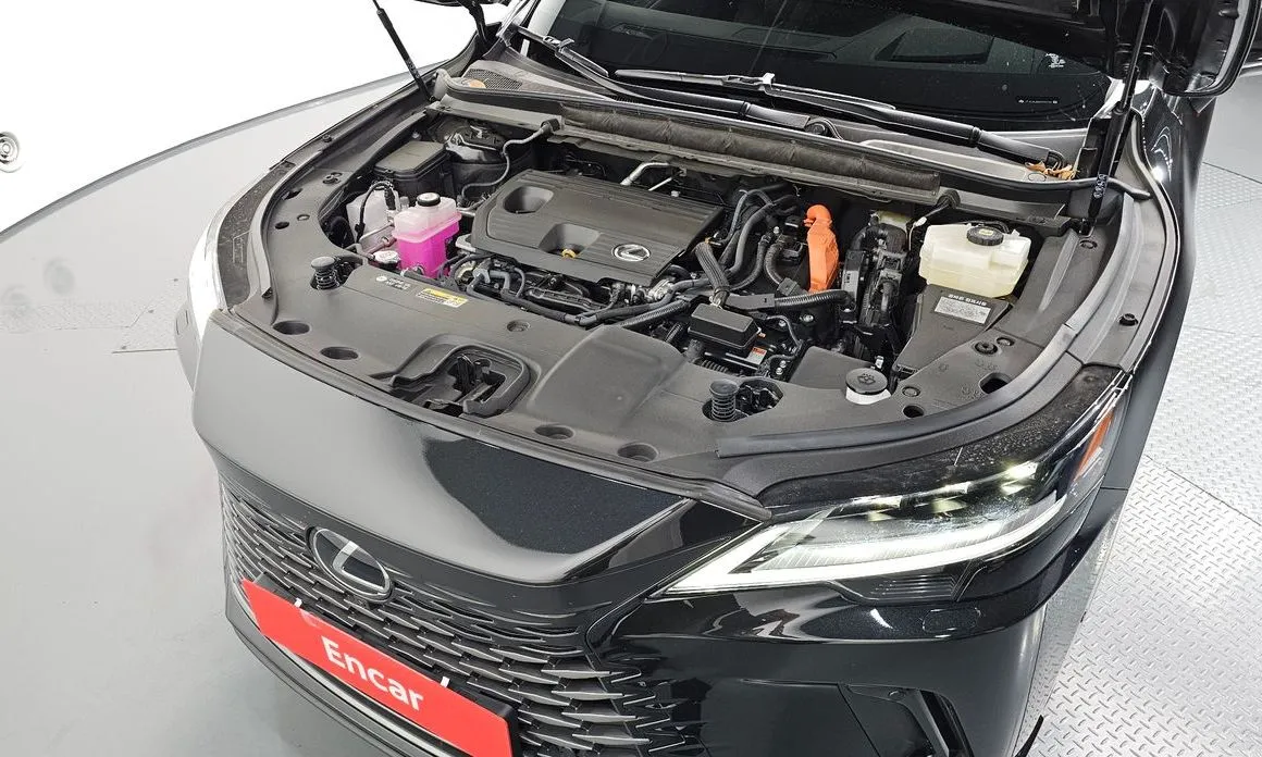 Lexus RX 2025 из KR, фото 8