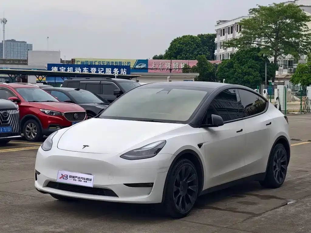 Tesla Model Y — фото 3