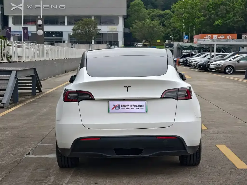 Tesla Model Y — фото 10