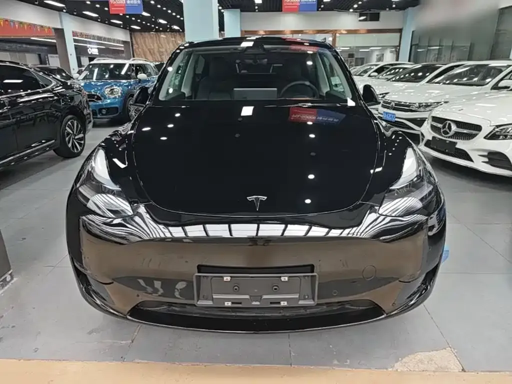 Tesla Model Y — фото 10
