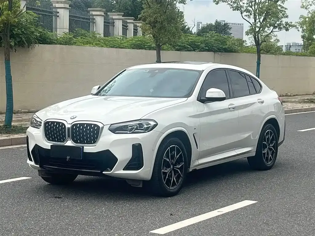 BMW X4 — фото 1