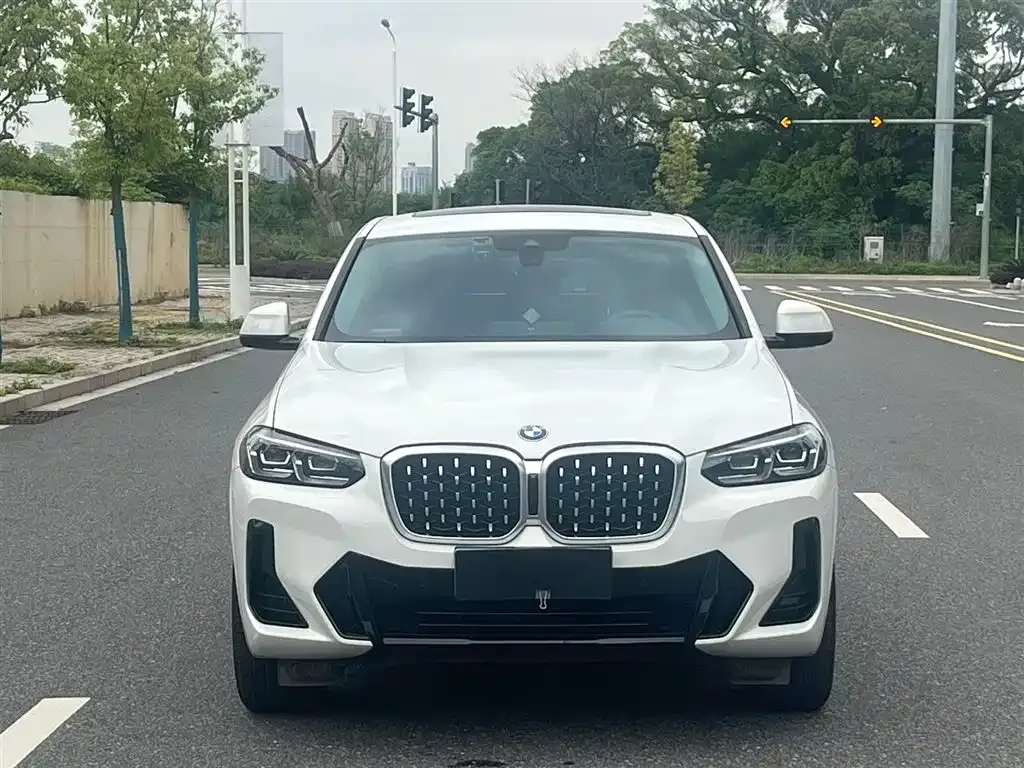 BMW X4 — фото 6