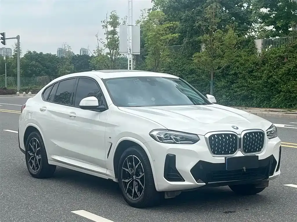 BMW X4 — фото 8