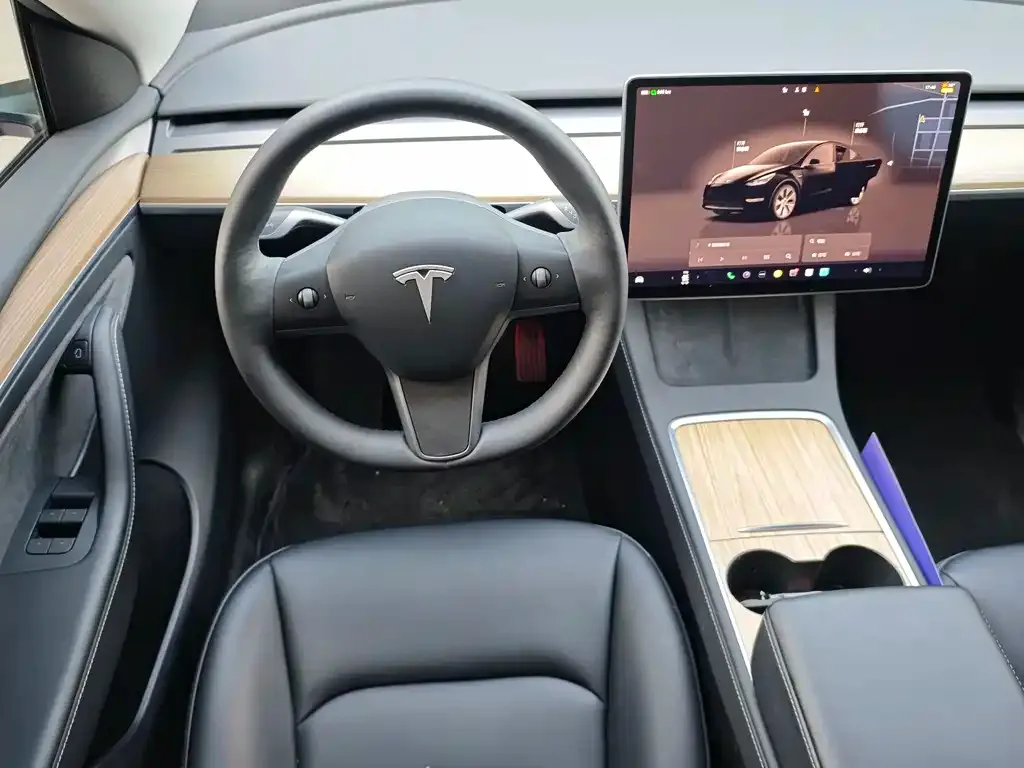 Tesla Model Y — фото 2