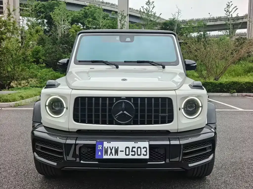 Mercedes-Benz G-Class AMG — фото 8