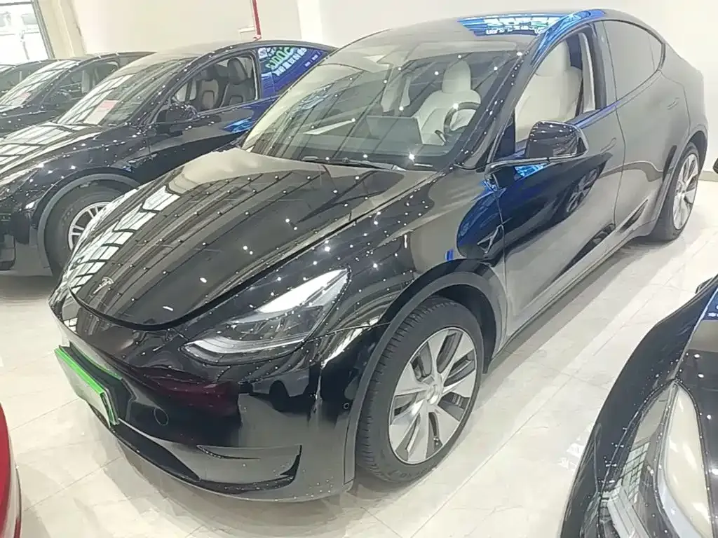 Tesla Model Y — фото 10