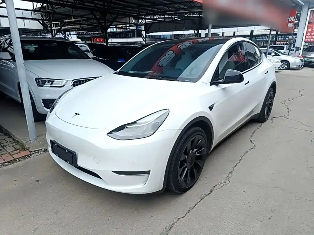 Tesla Model Y — фото 1