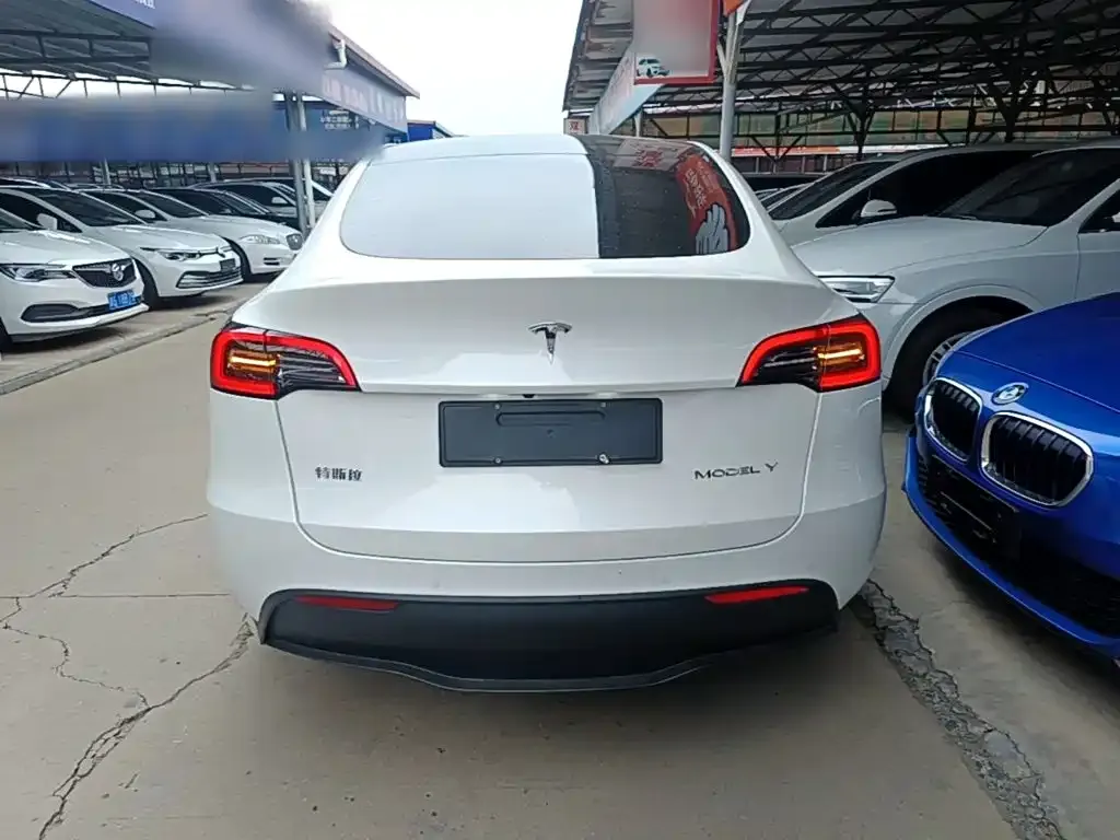 Tesla Model Y — фото 5