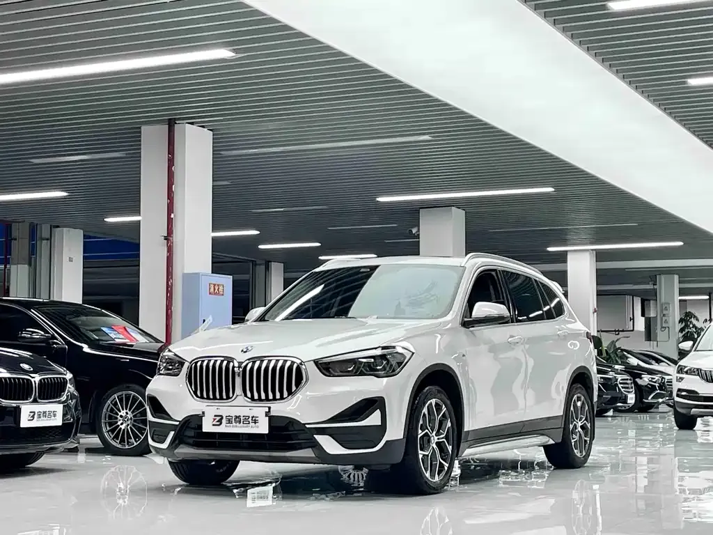 BMW X1 — фото 1