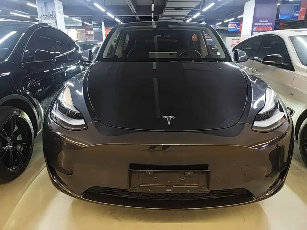 Tesla Model Y — фото 3