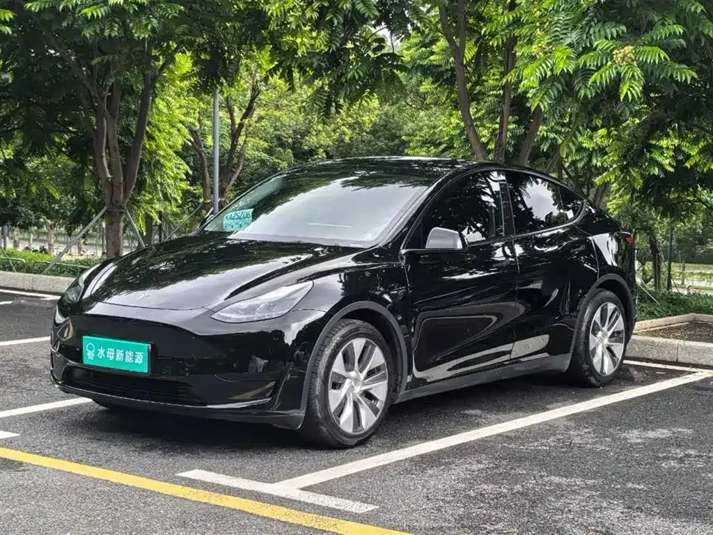 Tesla Model Y — фото 1