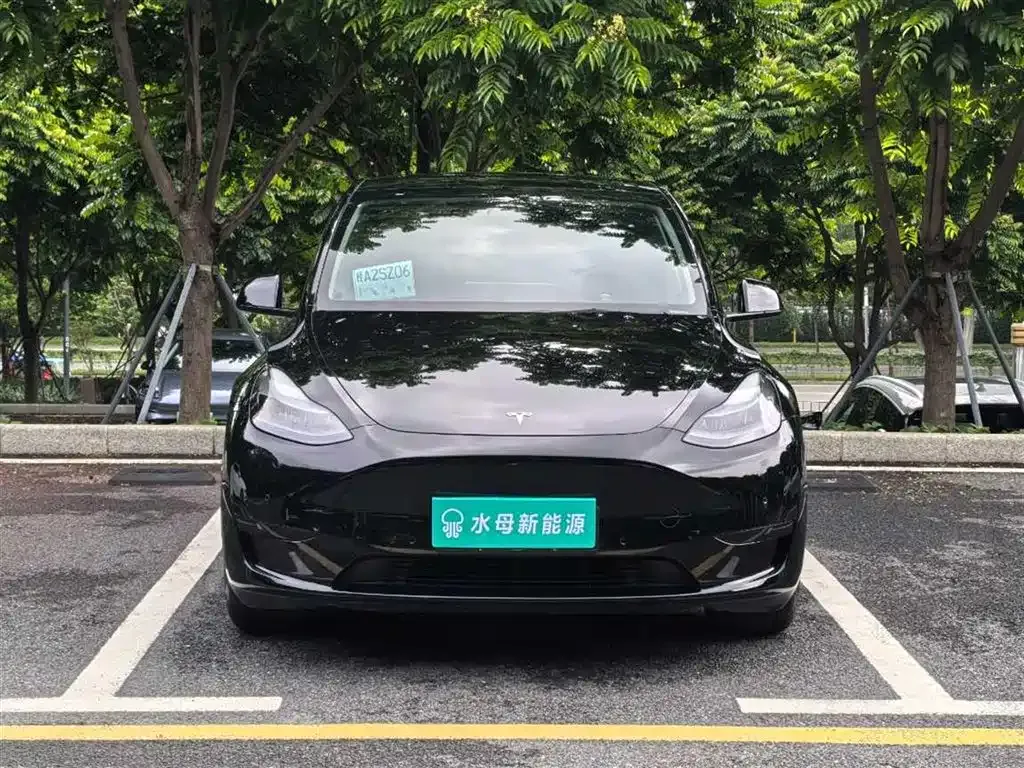 Tesla Model Y — фото 10