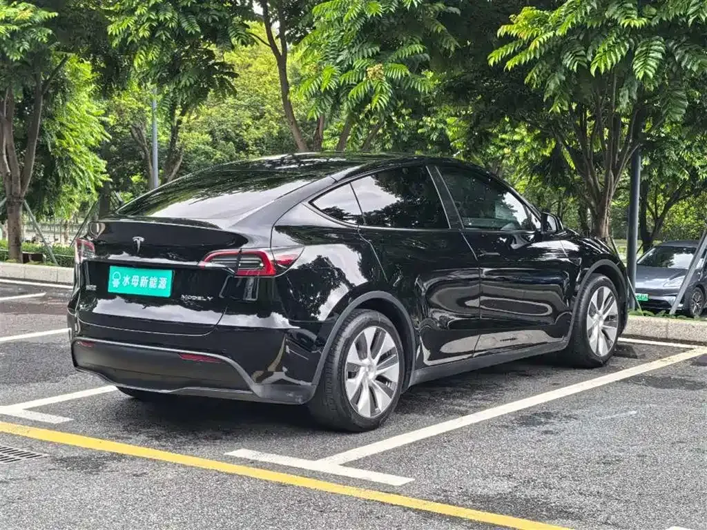 Tesla Model Y — фото 7