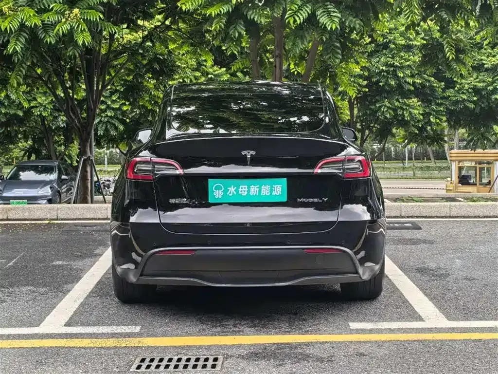 Tesla Model Y — фото 9