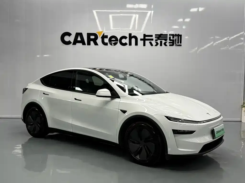 Tesla Model Y — фото 3
