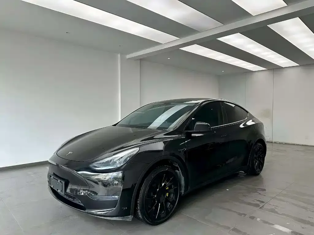 Tesla Model Y — фото 1