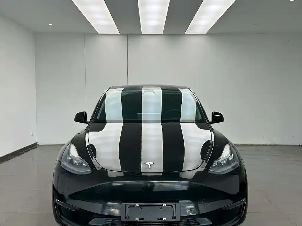 Tesla Model Y — фото 2